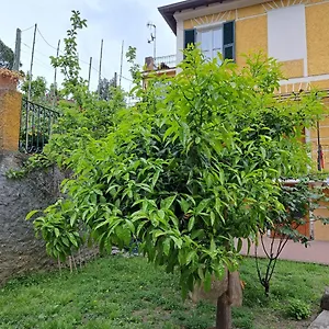 Affittacamere Antonella Pensión Monterosso al Mare